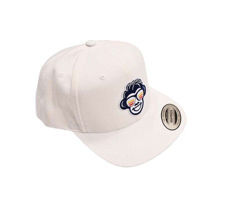 3D Logo Flat Bill Classic Snapback